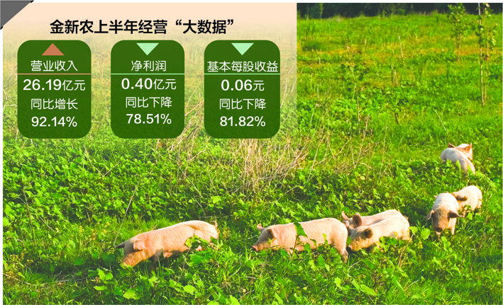 数据来源：公司半年报 视觉中国图 刘红梅制图