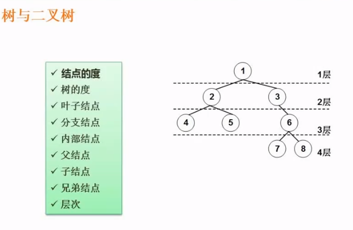 数和二叉树