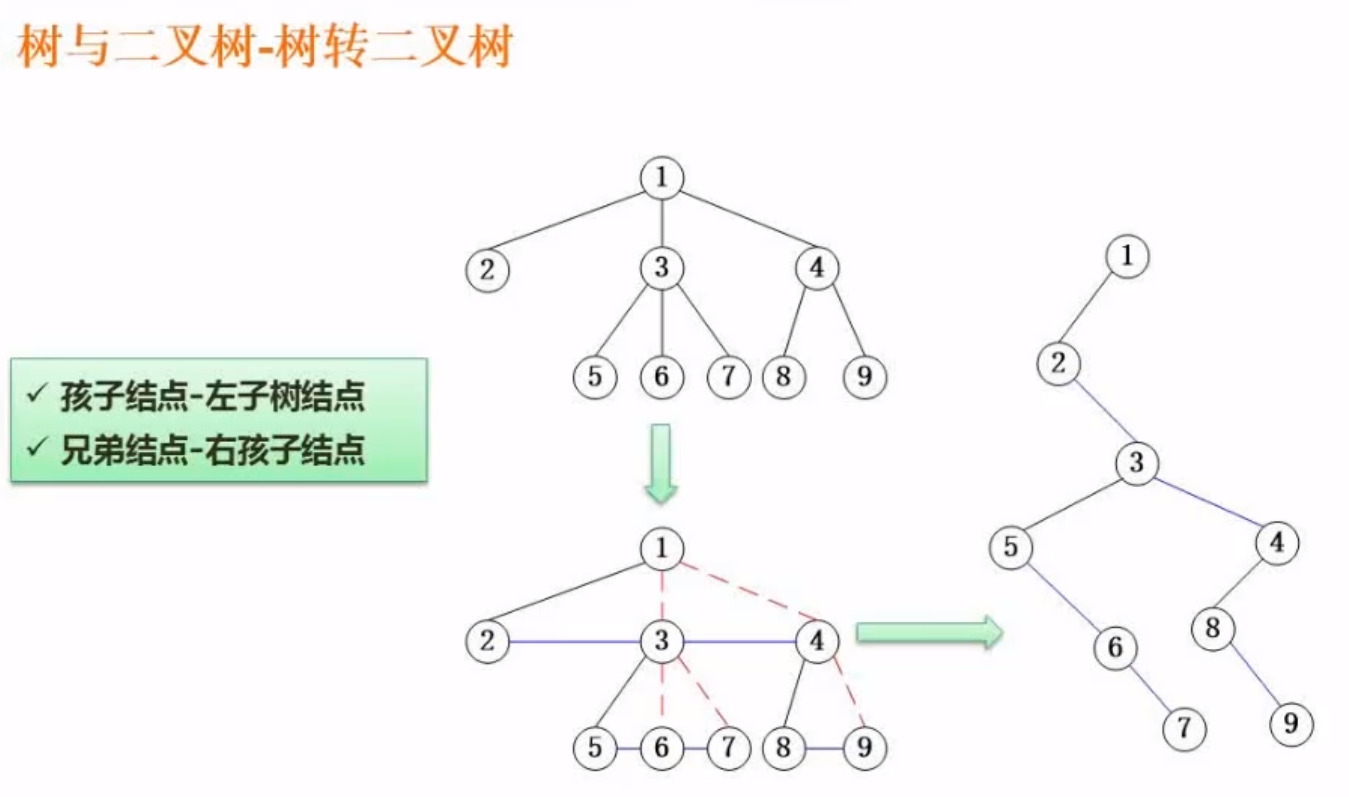 树转二叉树