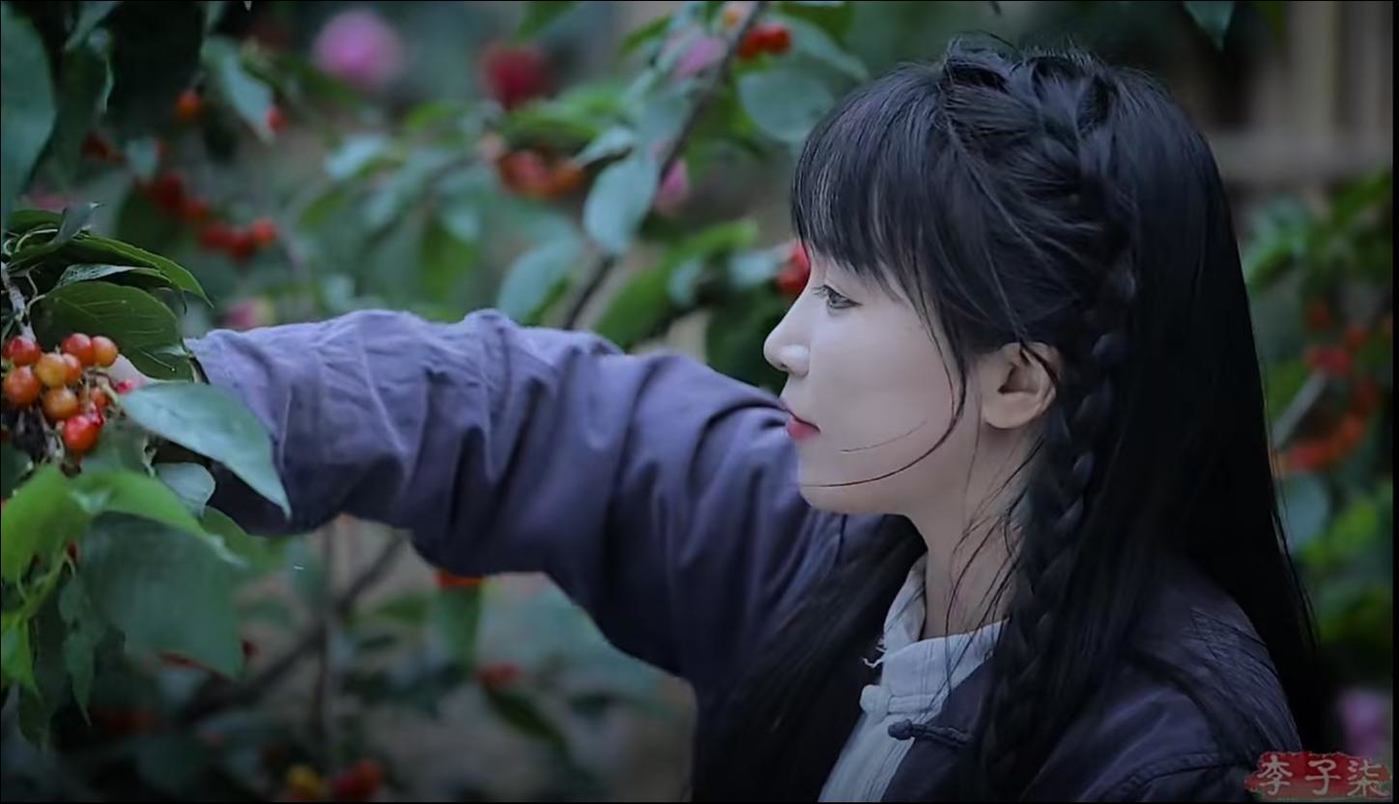 图片来源：李子柒视频号