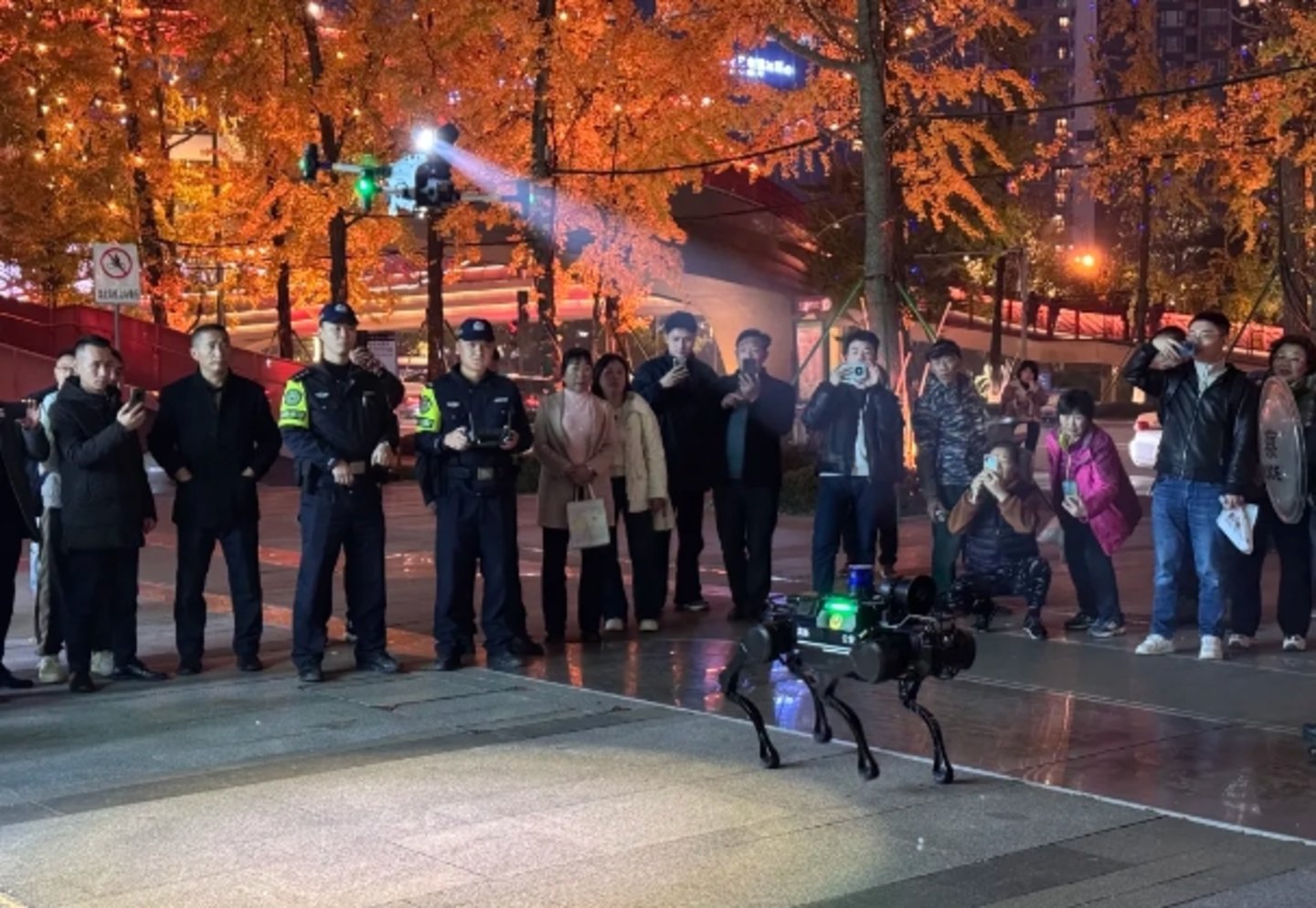 成都高新区供图