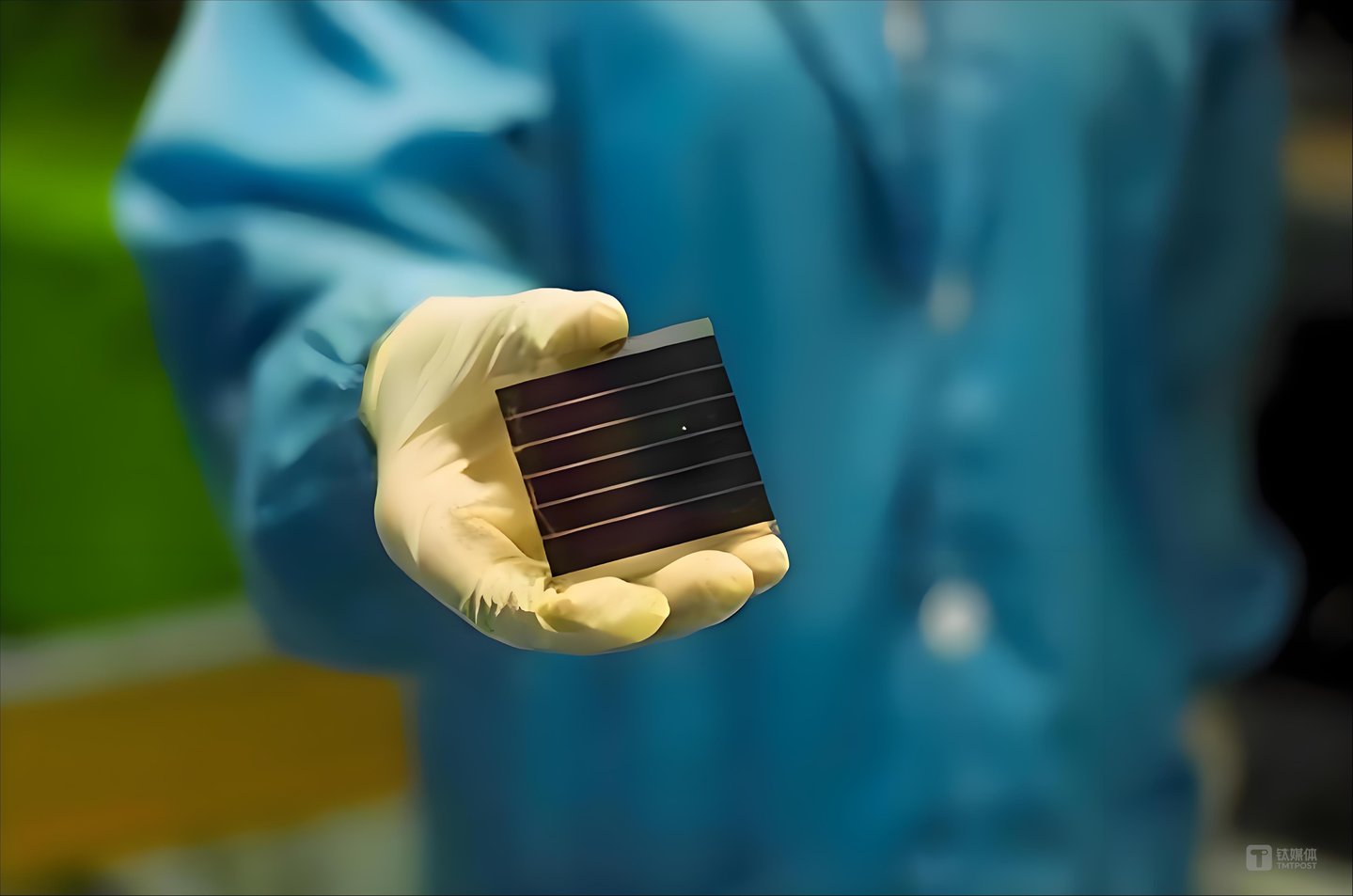 图片来源：网络