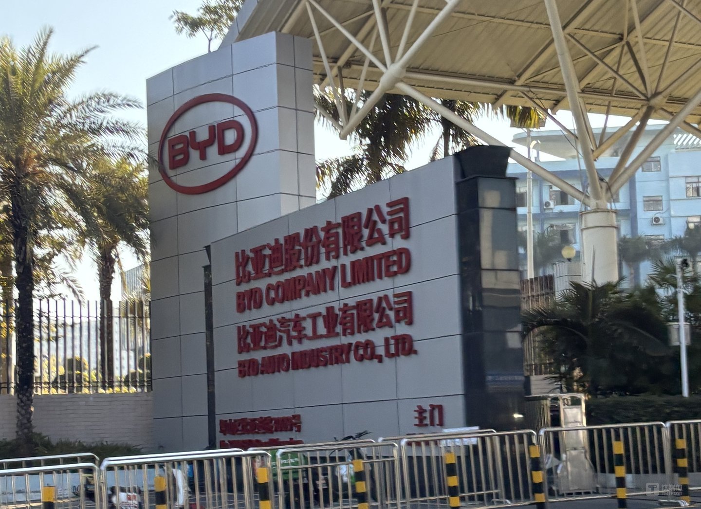 图片系现场拍摄