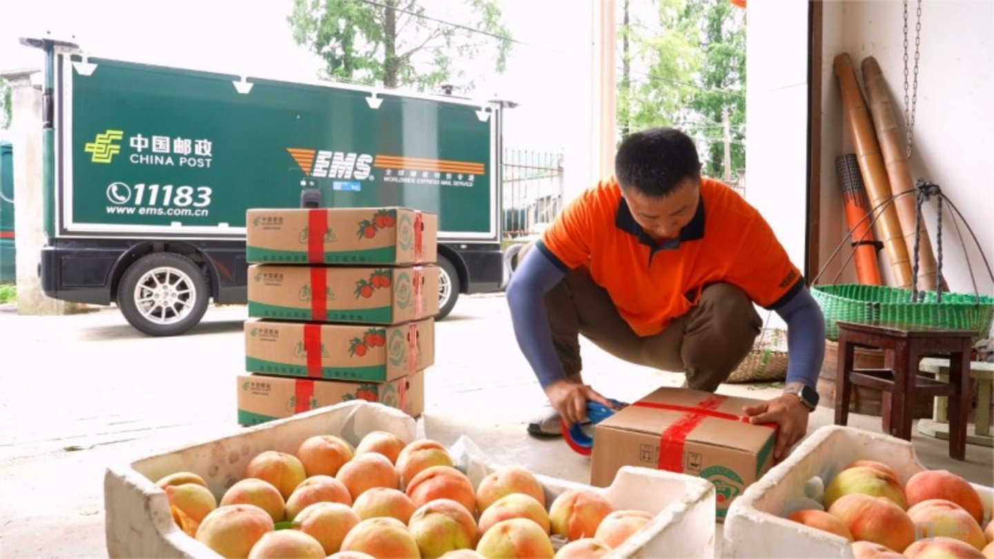 上图：2024年夏，嘉兴南湖区水蜜桃的丰收季节，中国邮政与九识智能率先在当地引入了无人车运输方案，24小时不间断作业，不仅极大提升了运输效率，还有效解决了人力短缺和运输成本问题，为水蜜桃的新鲜抢先上市提供保障。